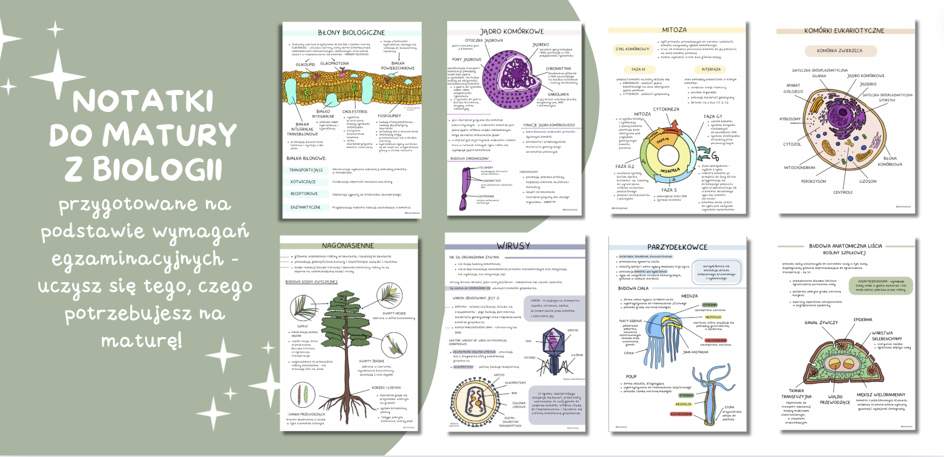 ćwiczeniówka Do Biologii Klasa 6 Biolchemed Biologia - notatki do matury z biologii, pytania powtórkowe